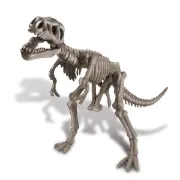 Imagen de EXCAVA UN DINOSAURIO T-REX
