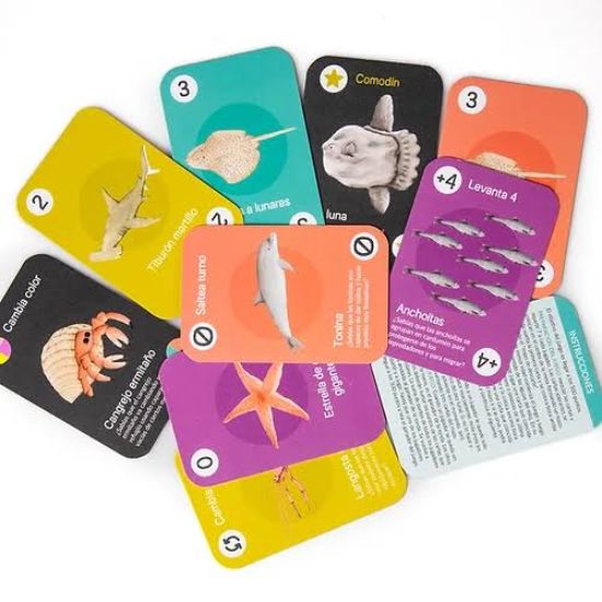 Imagen de JUEGO DE CARTAS MOLA MOLA