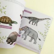 Imagen de DINOSAURIOS Y ANIMALES PREHISTORICOS DEL URUGUAY