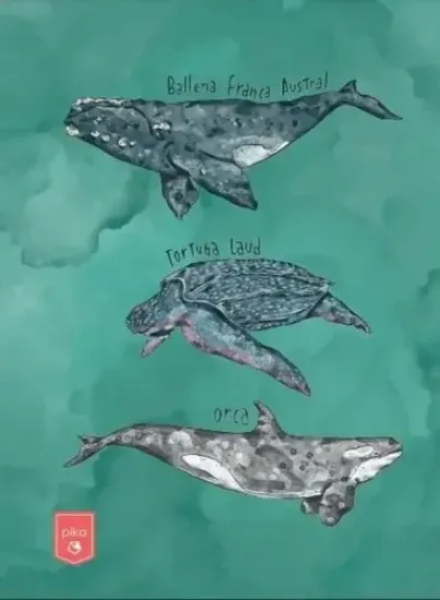 Imagen de LIBRETA OCÉANO DE URUGUAY